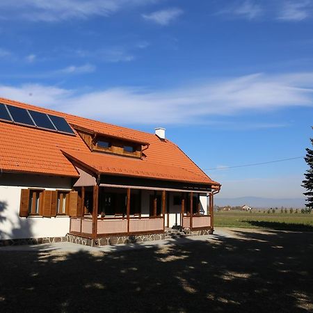 Hotel Ezuestfenyo Agroturisztikai Panzio Borzont Zewnętrze zdjęcie