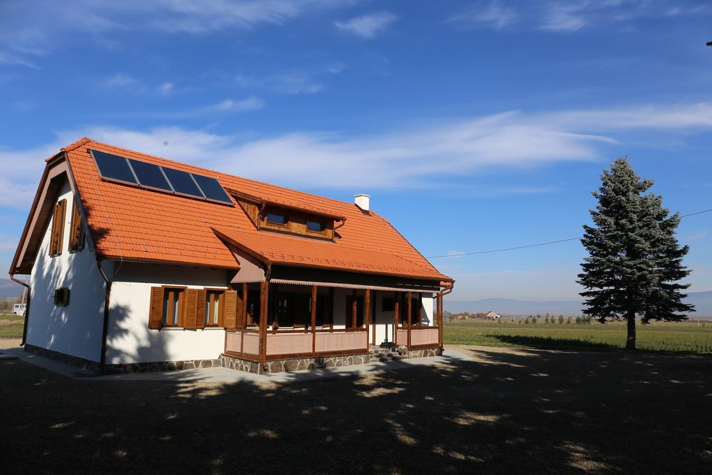 Hotel Ezuestfenyo Agroturisztikai Panzio Borzont Zewnętrze zdjęcie